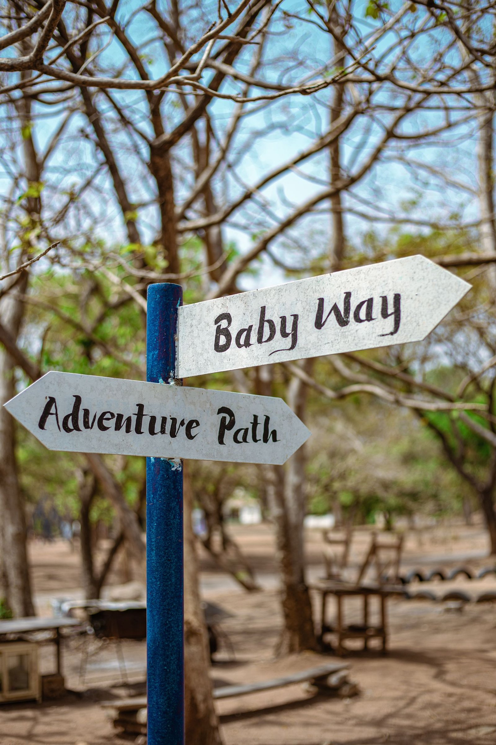 Holzwegweiser im Wald mit den Schildern „Baby Way“ und „Adventure Path“